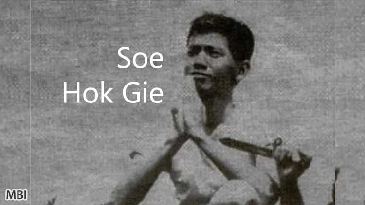 Biografi Soe Hok Gie