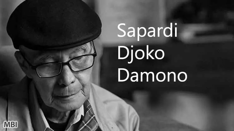 Biografi Sapardi Djoko Damono